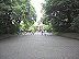 2007年6月　東京　明治神宮　その２